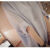 星贝莉广州十三行女装短袖短袖女ins潮潮女 高颜值韩版遮肚胖mm大码宽松 白色 M 125-150斤