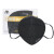 名典上品 KN95口罩 10只 独立包装 耳戴式 含活性炭 无呼吸阀 防飞沫雾霾 防风沙工业粉尘 防装修异味 M950C