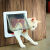 华美龙宠物猫门猫咪双向自由出入门洞塑料材质耐用安装玻璃木门铁门上 S__(8斤内) 咖啡色