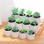 田园小型微观仿真多肉植物盆景塑料花创意摆件客厅商用绿植摆件 JH5697