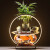新中式禅意流水摆件玻璃鱼缸家居客厅桌面办公室喷泉灯圈创意开业礼品礼物 【持扫小僧】-送带植物