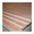 出极 木板 工地防坠盖井口木板 建筑木板 多层胶合板 新型木模板 一张价 1220*2440*16mm