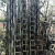 毛子人字梯直梯2米3米4米5米6米电力工程梯幼儿园攀爬梯 6长竹梯加清漆耐用防裂