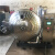 大型冻干机冷冻干燥机冻干机-50°C空压机真空冻干机实验室 ZKML-10型(茶叶冻干机)