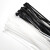 恒虎国标 尼龙扎带 塑料固定轧带 自锁式扎线带 电线捆扎白黑色可定做 M4*100（足500根）白色