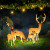 led防水卡通动物造型景观灯室外园林工程亮化室外灯 长颈鹿-C1款