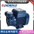 MDNG意大利原装pedrollo佩德罗水泵油泵PQ60-PQM60-CP130-CP132机床泵 PQ60 -380V