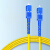 相柳 光纤跳线 电信级SC-SC单模单芯低烟无卤环保入户光纤线 收发器尾纤2米G0-SCSC02