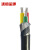 沈缆金环 ZR-VLV22-0.6/1KV-3*10mm² 国标阻燃铝芯钢带铠装电力电缆 1米