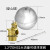 奔新农（BENXINNONG）不锈钢浮球阀 全自动可调浮球开关直塞浮球阀 单位：个 1.2寸DN32大流量浮球阀 