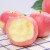 烟台苹果（YANTAI APPLE）山东烟台苹果红富士 时令生鲜 绿色新鲜健康水果 精品果礼盒 精选10斤一级特大果（85-90mm）