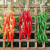 印季仿真蔬菜 塑料假蔬菜装饰品玉米辣椒大蒜花生模型挂串吊饰套装水 地瓜一串价格