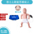 谋福 婴儿儿童心肺复苏模拟人 婴儿梗塞气道梗塞急救及CPR训练模型 （婴儿简配） 