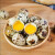 海龙康 新鲜鸡蛋 鹌鸟鹑蛋现捡土鸡蛋谷物柴鸡蛋 笨鸡蛋生鲜 土鸡蛋 节日送礼 鹌鹑蛋105枚