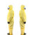 添盾 TD-BP9618 黄色带帽连体式工业防化服 黄色 XXXXL