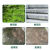 青苔去除剂水泥地墙面青苔净藻类清洁苔藓杀除剂草酸鱼缸地板台阶 青苔清洁剂5.3斤/桶