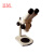 BM上海彼爱姆体视显微镜XTT（双目、定倍）无光源