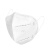 海氏海诺 N95型口罩白色防尘防颗粒物耳带成人男女独立包装口罩 30只/盒 