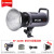 金贝LED摄影灯EF220BI双色温直播灯补光灯常亮视频影视微电影拍摄 A套单灯 单灯+灯架