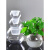 云舵创意水培植物透明玻璃花瓶水养绿萝睡莲铜钱草鱼缸玻璃容器 (20D圆球)+土培蓝 中等