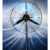 普力捷（PULIJIE）工业风扇落地扇强力牛角扇750落地扇塑钢叶 铜线电机(31英寸)