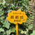 幼儿园菜园植物种植标示牌菜地农场草地爱护花草提示牌户外警示牌【12月12日发完】 B款红檀色空白板 均码