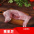 桃西村现杀兔子肉生鲜净重2斤以上鲜兔肉无头无内脏整只真空活兔新鲜 现杀兔子肉3只