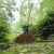 竹扫把农村老式竹丝扫帚笤帚户外庭院环卫通用大扫把扫院子 防腐布扎竹丝 长15米宽60厘米