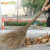 Supercloud 大扫把 竹扫把环卫马路物业学校工厂室外柏油道路地面清扫清洁大号笤帚扫帚 竹枝连体2.5斤款-5把