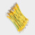 吉星 黄绿双色接地线软铜线孔5 2.5*100 一包价