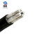 鼎献 电线电缆 YJLV 2*16平方 2芯国标铝芯阻燃电力电缆 10米