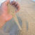 消防沙子河沙细沙花用救灾种植养花沙子多肉透气鱼缸底砂专业灭火 粗沙【3-6mm左右】-100斤