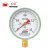 红旗（HONGQI）Y-100红旗普通压力表径向安装0-1.6mpa 螺纹M20*1.5