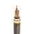 华实（HUASHI） YJV22 3*10+1*6mm² 国标铜芯低压电缆 1米