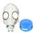 一护防毒全面具面罩 E40接口 防氨硫化氢(面具+8#小罐)