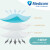 Medicom麦迪康 一次性三层四层N95口罩舒适透气防飞沫出行活性炭口罩50只 蓝色217215(50只/盒)