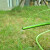 安赛瑞 四分软管水管 塑料高压4分管 园艺花园浇花洗车  50米 大叶企业定制 530579