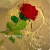 霏语仿真玫瑰花客厅家居装饰花假花插花摆设婚庆餐桌花 高仿真玫瑰大红5枝