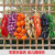 印季仿真蔬菜 塑料假蔬菜装饰品玉米辣椒大蒜花生模型挂串吊饰套装水 地瓜一串价格