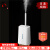 TOFFY【 日本直邮 日本发货】抗菌LED香薰机加湿器长时间加湿雾量大卧室办公室家用加湿器 HF09-PW（需变压器）
