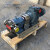 不锈钢转子泵厂家 凸轮式双转子泵  高粘度卫生级凸轮转子泵 2-7T/H(3kw）