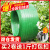 PET塑钢打包带绿色1206 1606 1608 1910手工塑料捆绑带净重10公斤 1608-1200米-20公斤