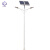日月升 RYS-L79-8-80S-D 太阳能路灯 室外照明灯 双头 8米80W*2(含灯杆)