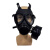 护力盾 05防毒面具（FNJ05）单面具+君品罐 工厂车间喷漆过滤防护 可替换防毒滤芯 5套起售