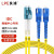 良浦 电信级单模万兆光纤跳线 单模双芯Φ2.0（LC-SC，9/125）20米 光纤线尾纤跳纤 NG-2LC-SC-S20