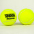 天龙（Teloon） 网球P3/P4有压罐装比赛训练网球 POUND高弹耐磨 【1罐 3粒】TeloonP3 青春版