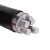 立飞 电缆线 带凯国标YJLV22 电力电缆地理架空线  铝芯带凯 5*16平方  1米（定制）