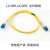 电信级光纤跳线尾纤 LC-LC(UPC) 单模双芯双工 Φ2.0跳纤光纤线  5米
