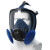 WORK CARE W8800 硅胶全面罩防尘面具KN100防非油性颗粒物防尘套装（含1对KN100滤棉）
