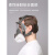 扬笙福6800防毒面具全面罩专用喷漆化工生化防尘全脸防雾防护面罩一体式 防雾防尘毒全面具套装+60片棉